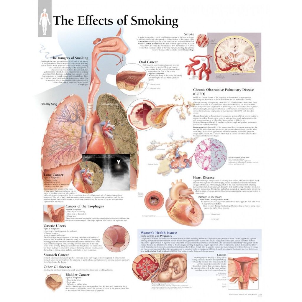 σμοκ 1352_the-effects-of-smoking-chart